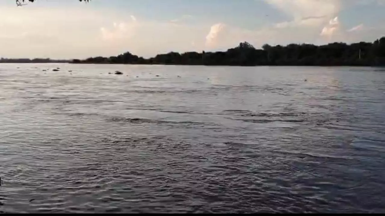 Mathura News: मथुरा में यमुना का जलस्तर बढ़ा, विश्राम घाट पूरी तरह डूबा, गोकुल बैराज के 22 गेट खोले गए