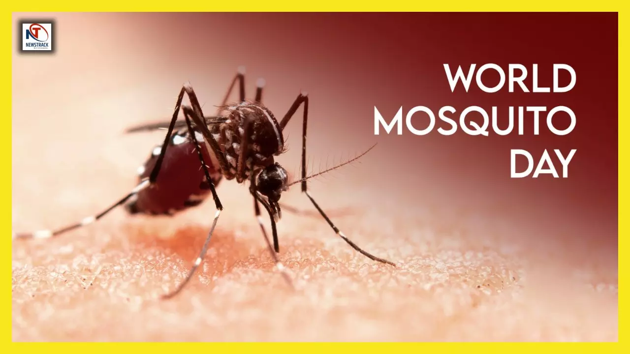 World Mosquito Day 2025: इतिहास, महत्व और बचाव के उपाय