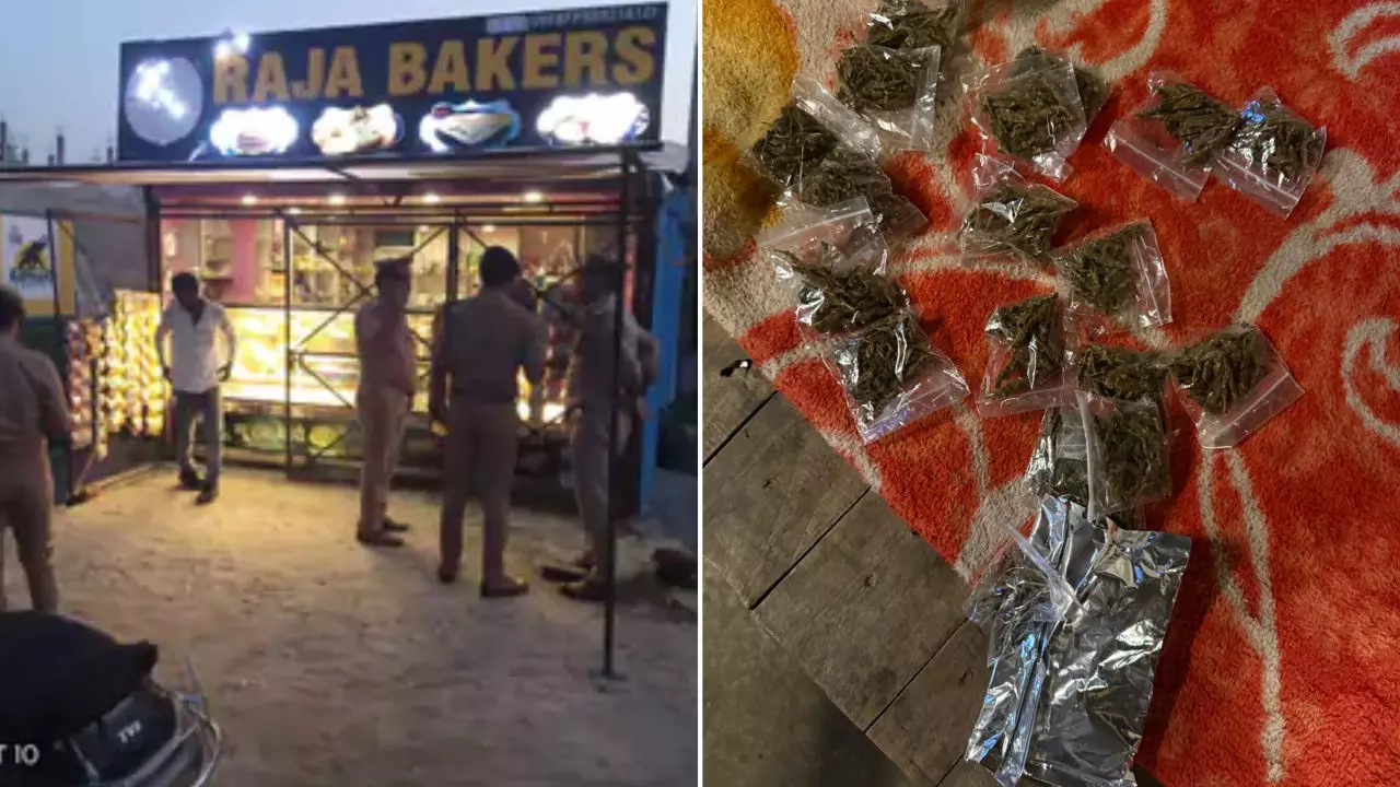 Lucknow News: बेकरी की आड़ में चल रही नशे की तस्करी! लखनऊ पुलिस ने छापेमारी कर शातिर तस्कर किया गिरफ्तार, गांजा बरामद