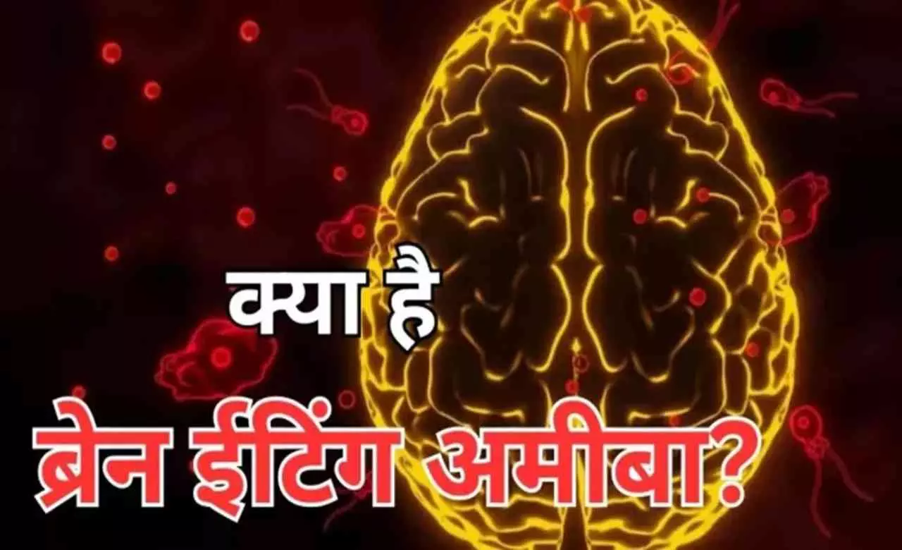 Brain Eating Amoeba
