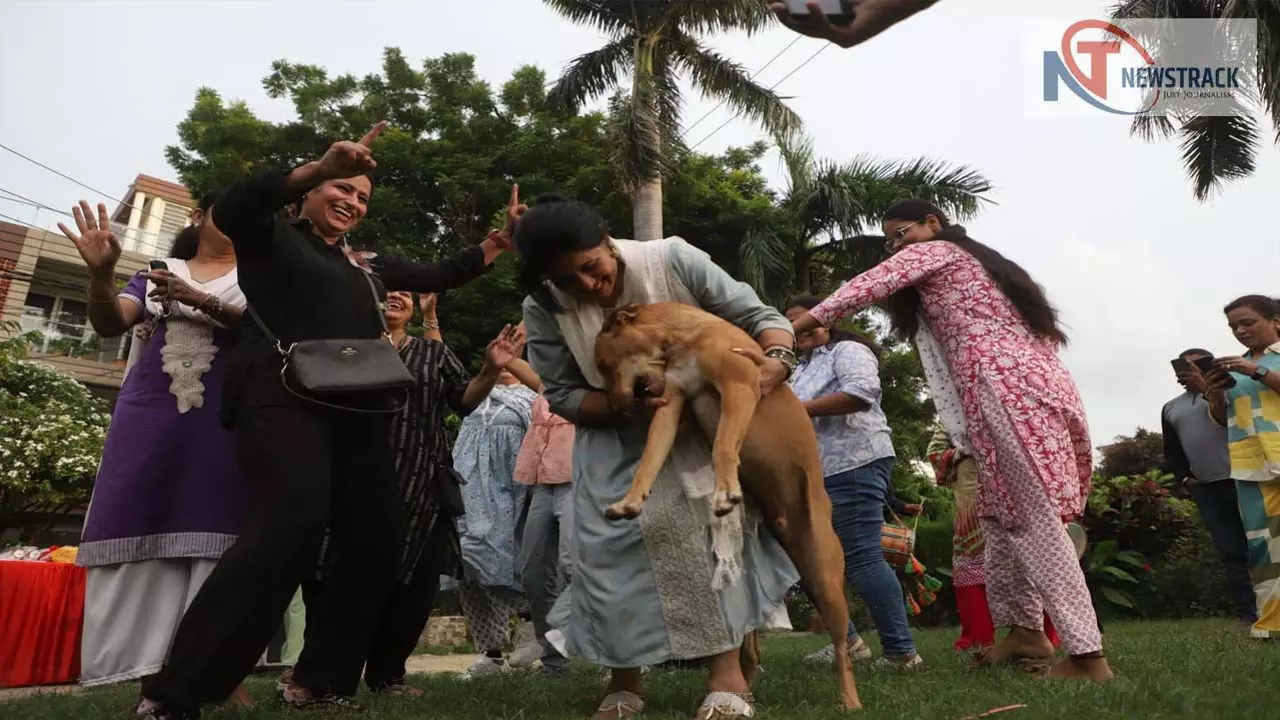 Lucknow News: आवारा नहीं हमारा है’: स्ट्रीट डॉग्स के समर्थन में लखनऊ में जश्न
