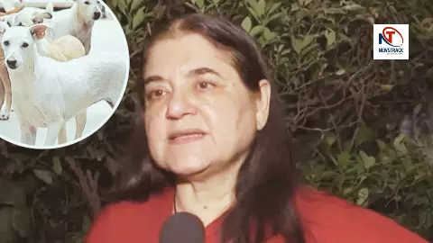 Menaka Gandhi statement on dogs