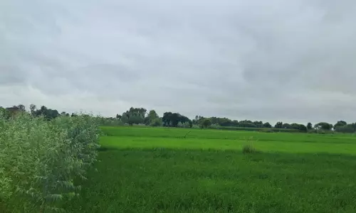 Balrampur News: बलरामपुर में मौसम ने लिया करवट, हल्की बारिश से लोगों को गर्मी से राहत