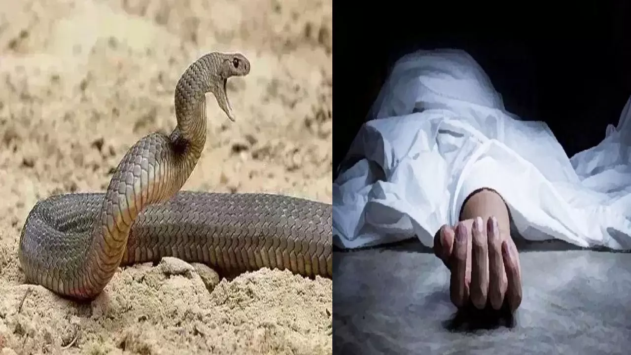 Chandauli News: सर्पदंश से किसान की मौत, परिवार में मातम