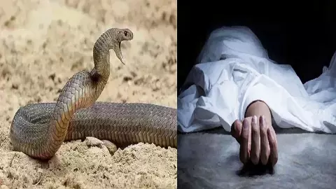 Chandauli News: सर्पदंश से किसान की मौत, परिवार में मातम Chandauli News: सर्पदंश से किसान की मौत, परिवार में मातम