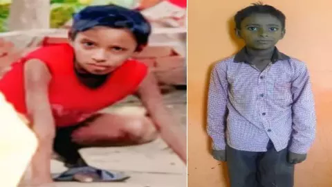 8-year-old boy dies of snake bite in the morning, wave of mourning in village 8-year-old boy dies of snake bite in the morning, wave of mourning in village