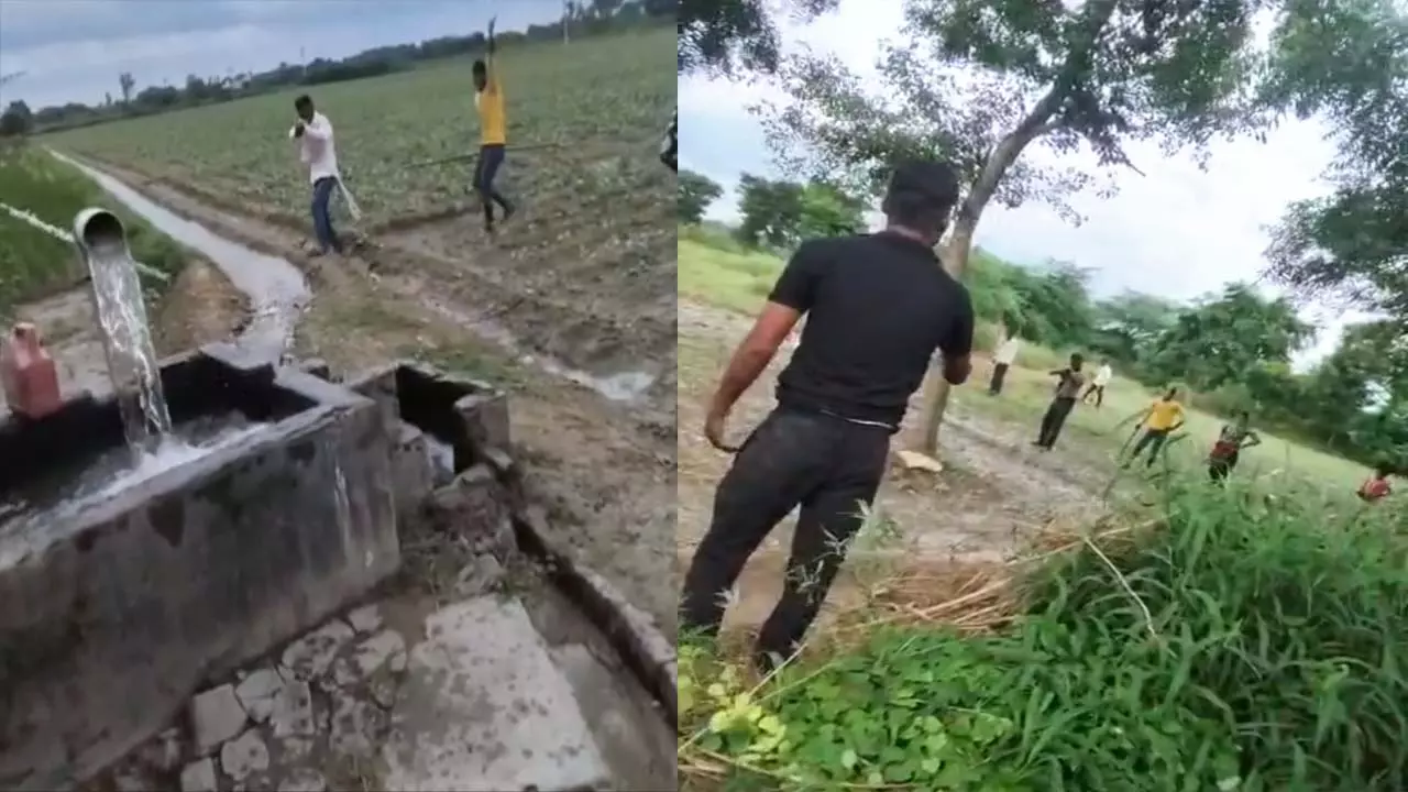 Bloody struggle between Chachere brothers over Khet Batware,