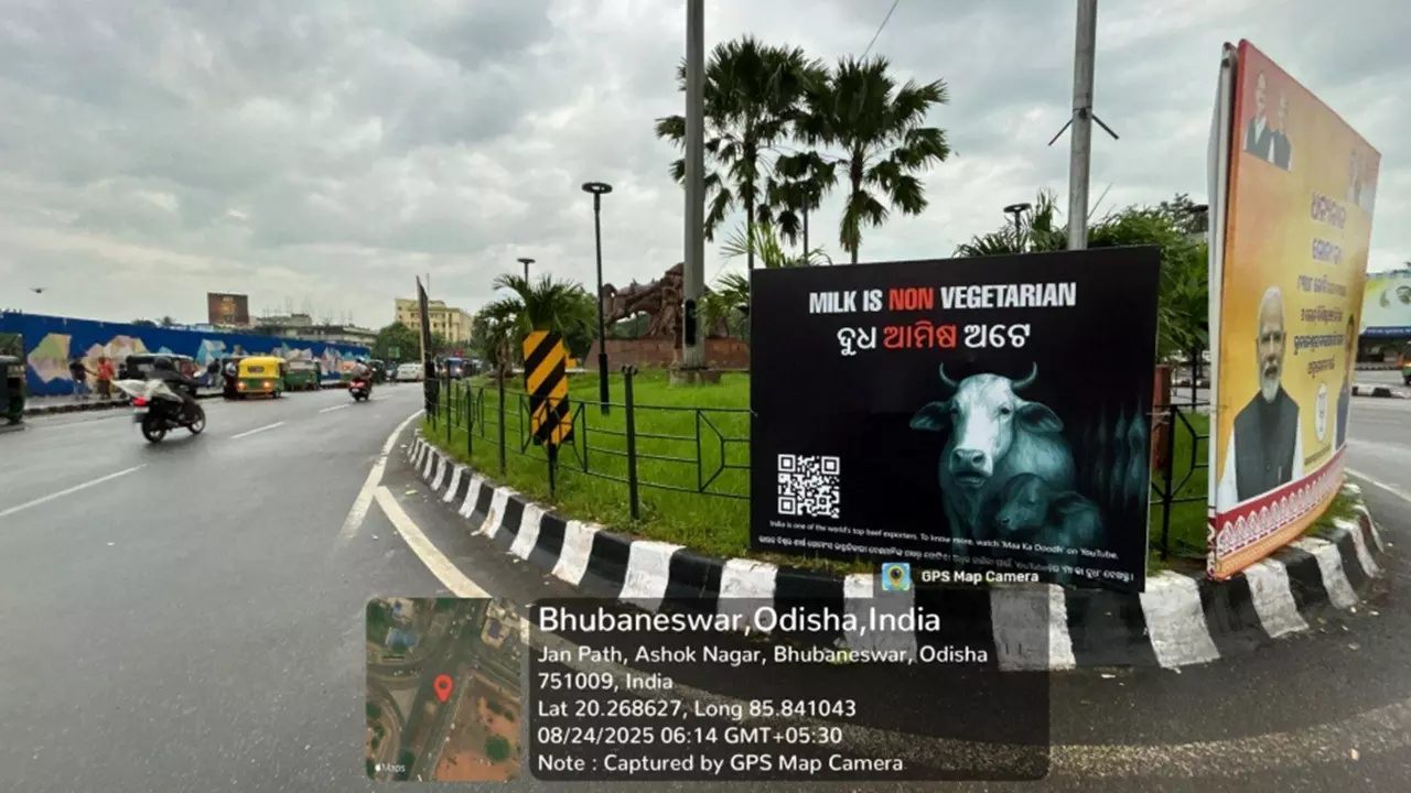 Animal Save India Billboard Campaign Sparks Awareness