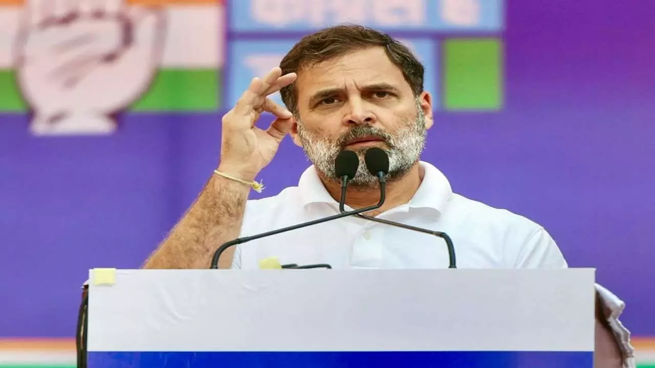 सिख समुदाय के खिलाफ टिप्पणी का मामला, इलाहाबाद हाई कोर्ट में राहुल गांधी की याचिका पर आदेश सुरक्षित
