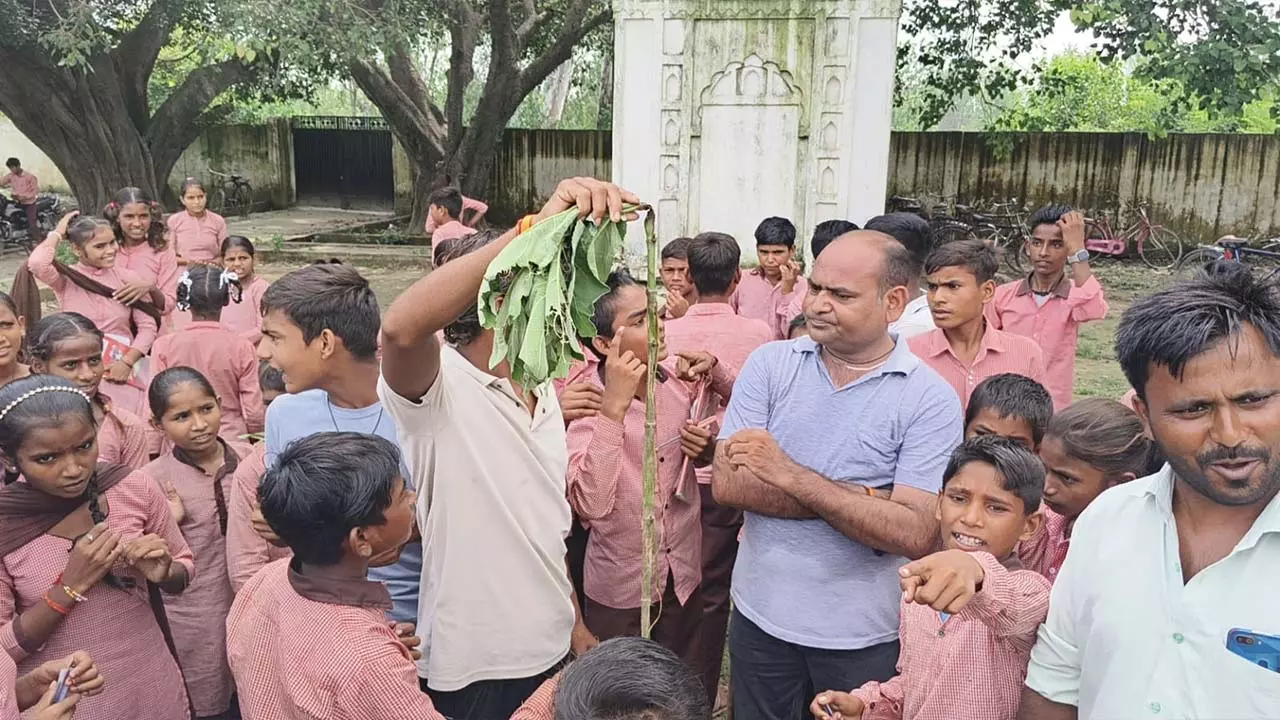 Government School Nashedi Teachers Beat Children