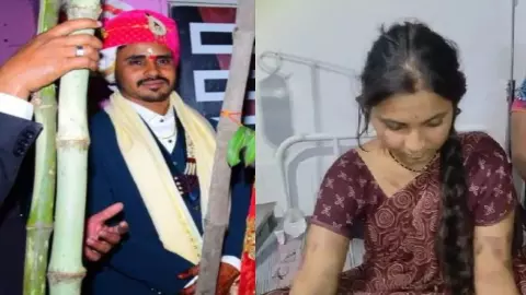 MP News MP News