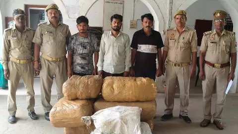 three smugglers arrested under the guise of coconut