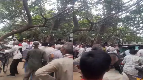 Auraiya News: बंदर ने तहसील परिसर में कराई पैसों की बारिश, किसान के 28 हजार रुपये लूटे