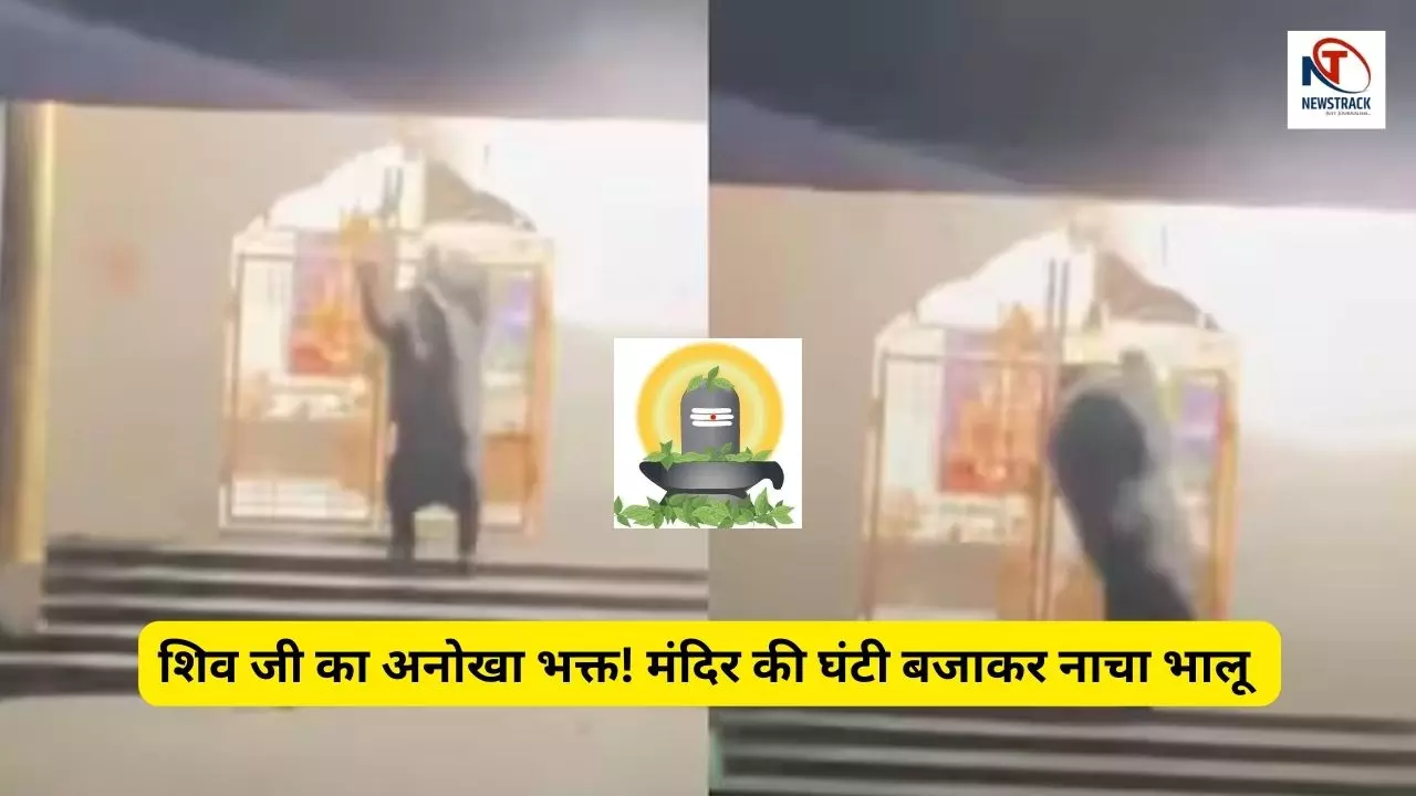 Chhattisgarh Bear in Temple Viral Video