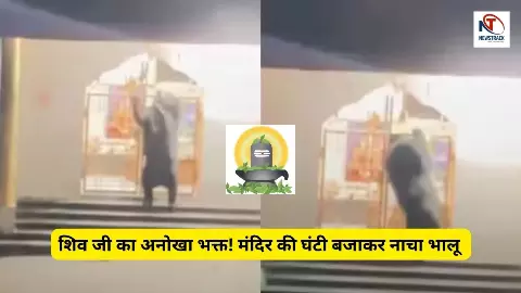 Chhattisgarh Bear in Temple Viral Video Chhattisgarh Bear in Temple Viral Video