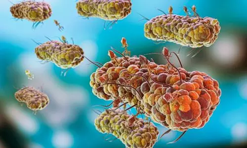 Screwworm Virus Danger