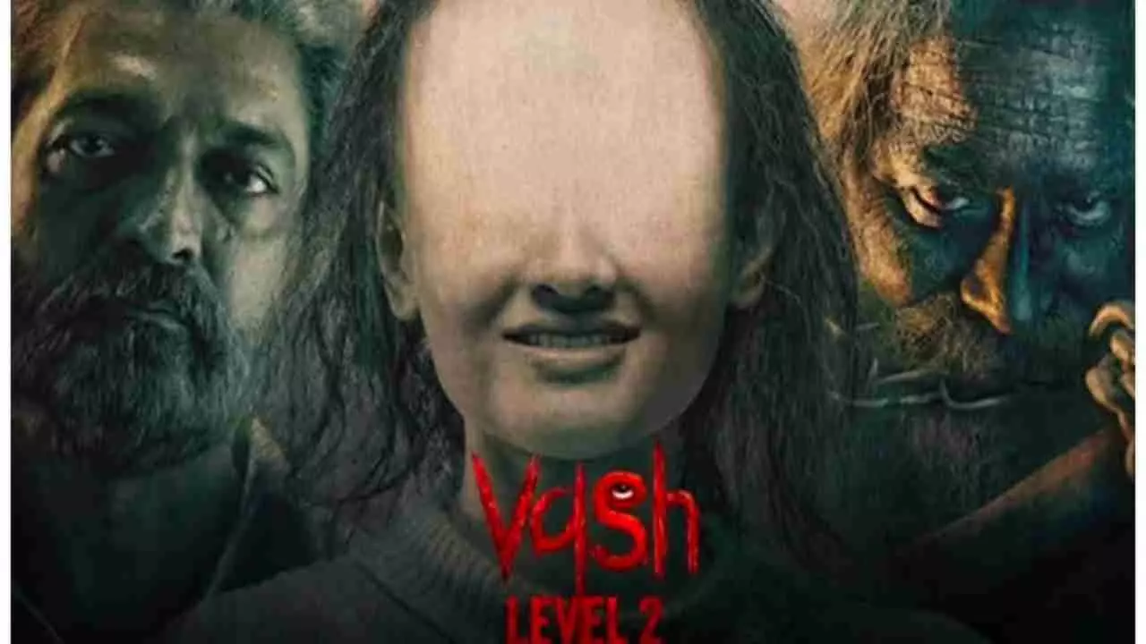 Vash Level 2 Box Office Collections