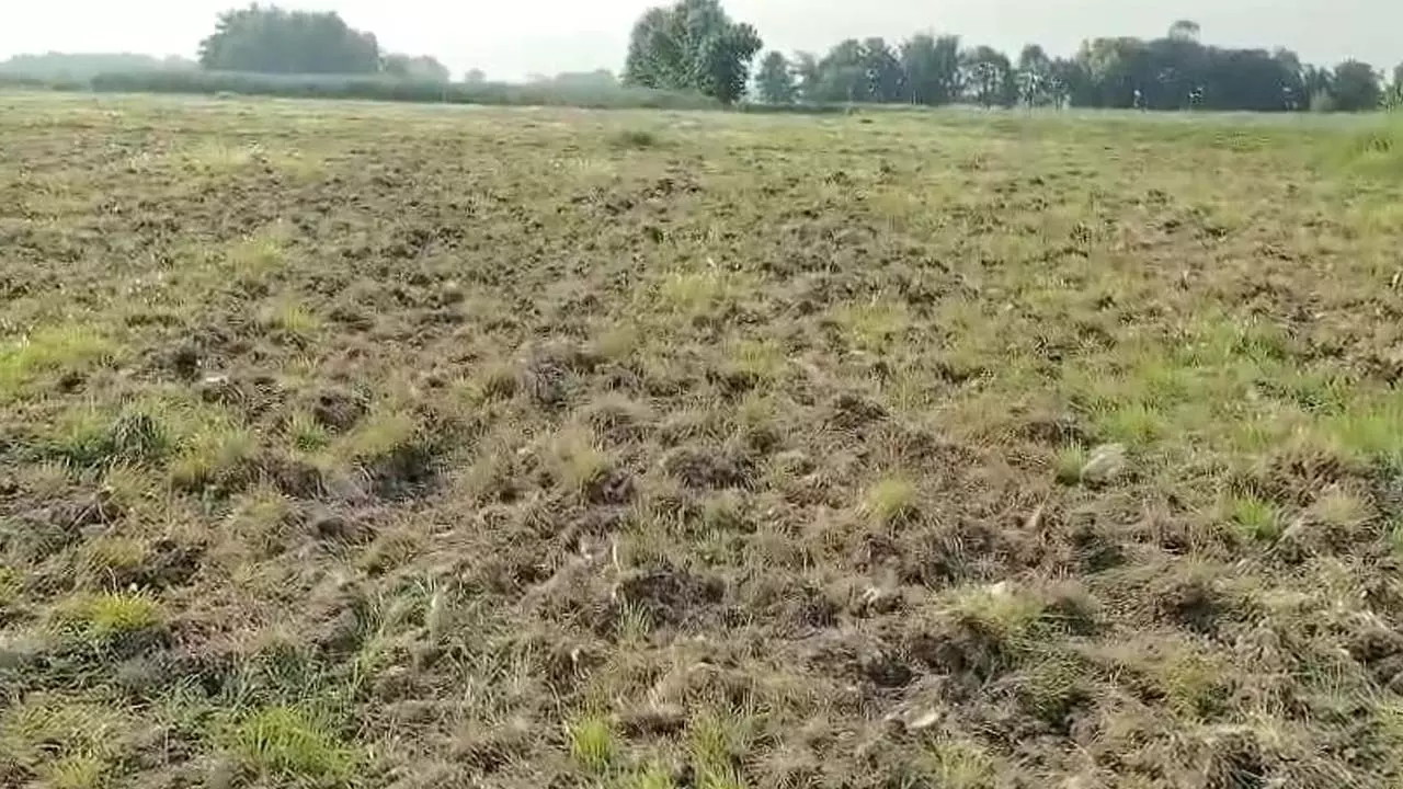 82 bighas of crops destroyed without government orders