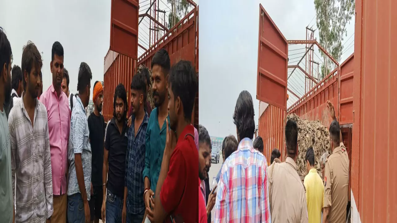 Hapur News: टोल प्लाजा पर पुलिस और सामाजिक संगठन की बड़ी कार्रवाई, पशु खाल से भरा कैंटर पकड़ा