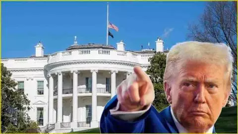 Trump is dead Trending Trump is dead Trending