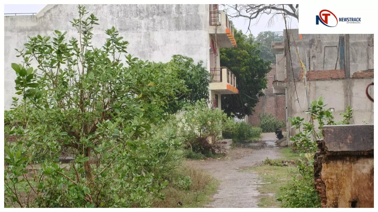 Balrampur News: बलरामपुर में हल्की बारिश, धान की फसल पर संकट बरकरार