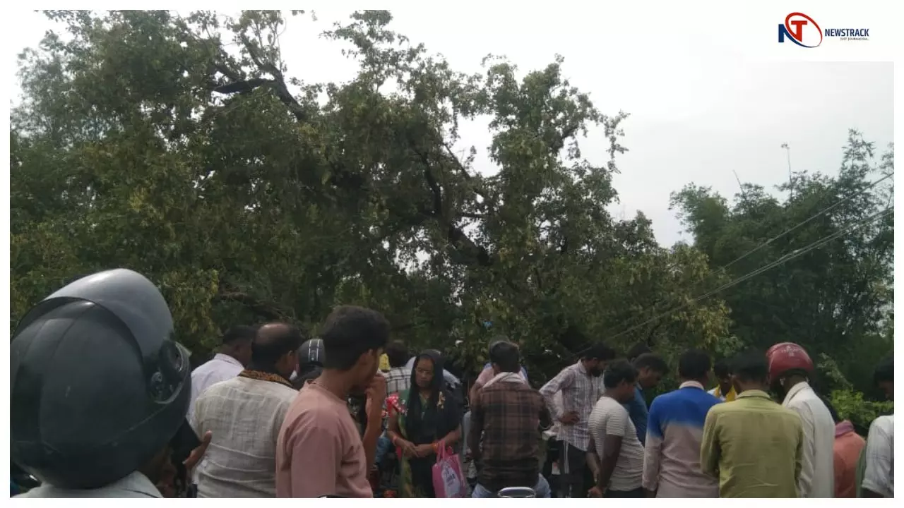 Chandauli News: भारी बारिश से गिरा पेड़: मुगलसराय-चकिया मार्ग अवरूद्ध,लोग परेशान Chandauli News: भारी बारिश से गिरा पेड़: मुगलसराय-चकिया मार्ग अवरूद्ध,लोग परेशान
