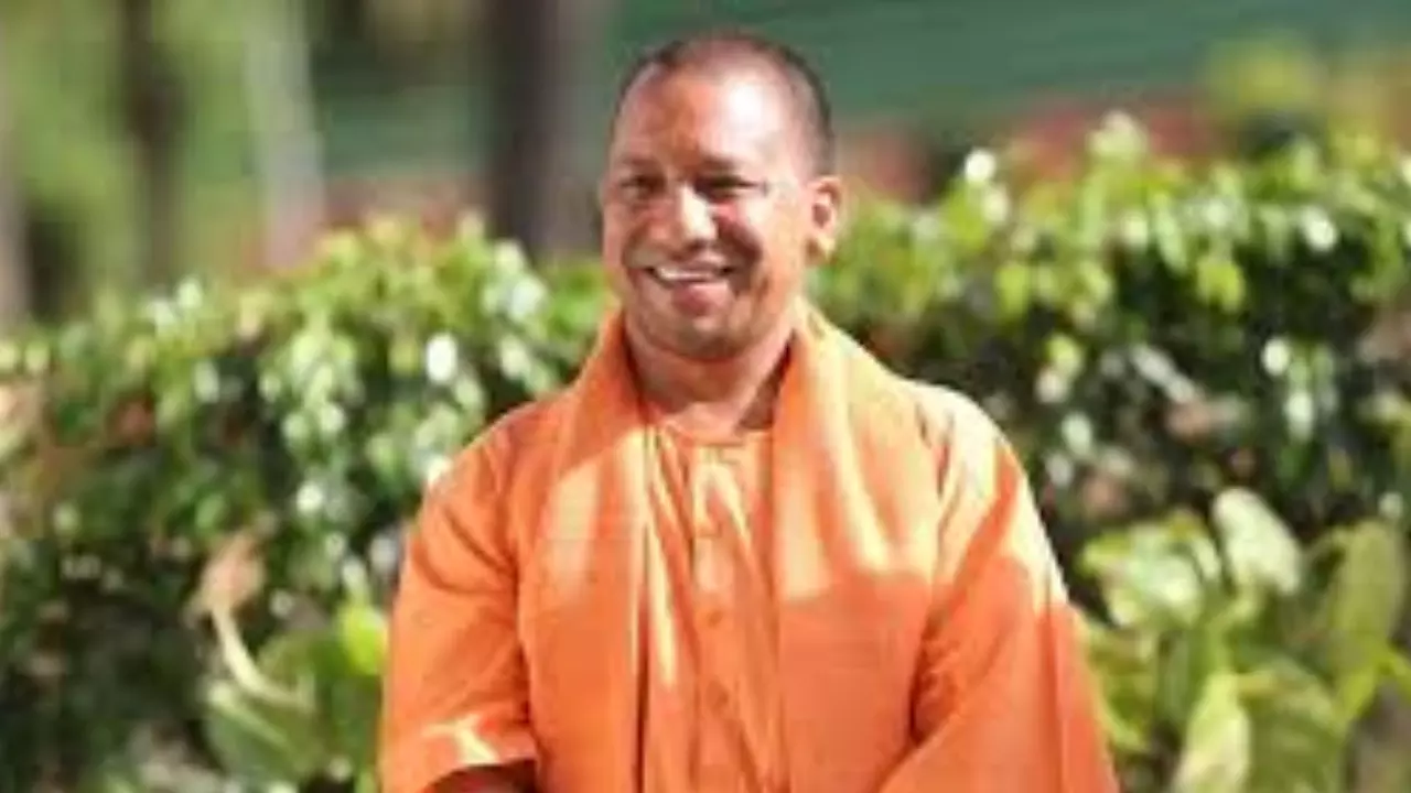 Yogi Model
