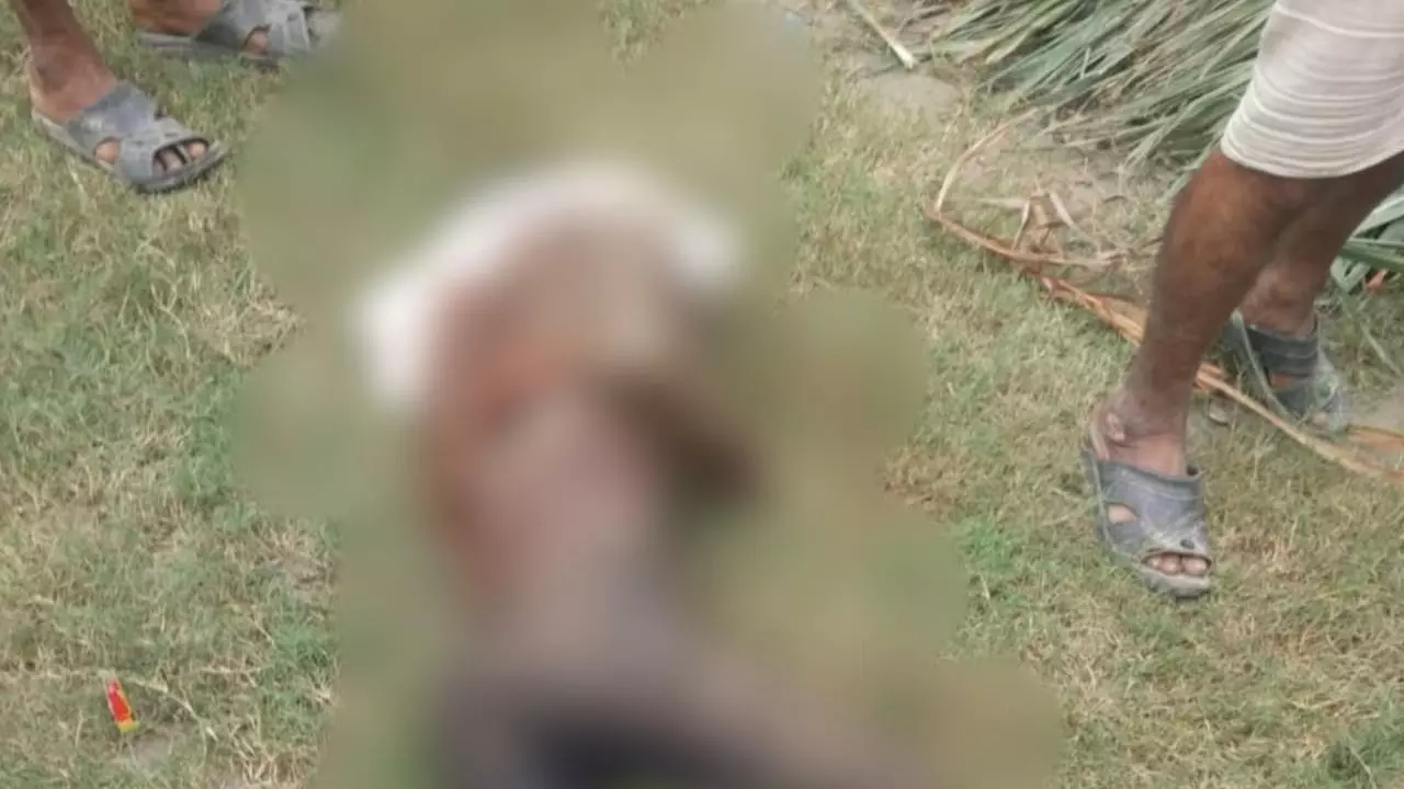 Lakhimpur kheri News: गन्ने के खेत में किशोर पर जानलेवा हमला, दो घंटे से एंबुलेंस का इंतजार