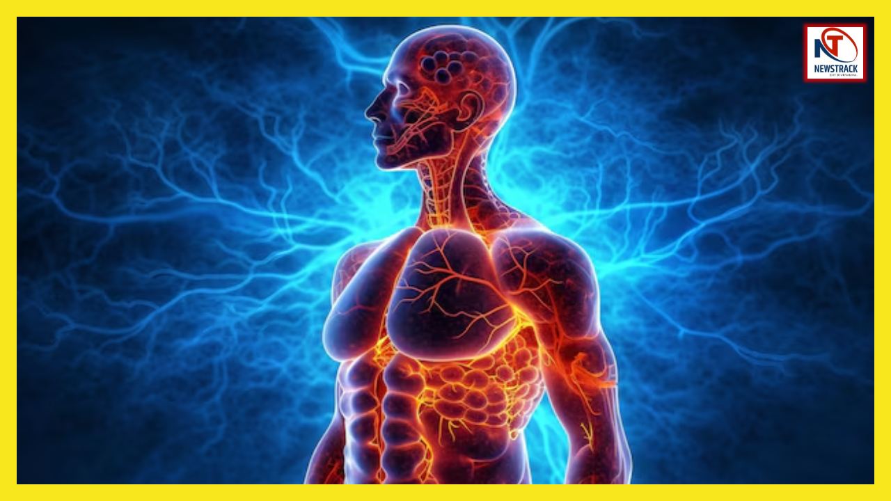Can Humans Survive Without Organs| Human Body Interesting Facts ...