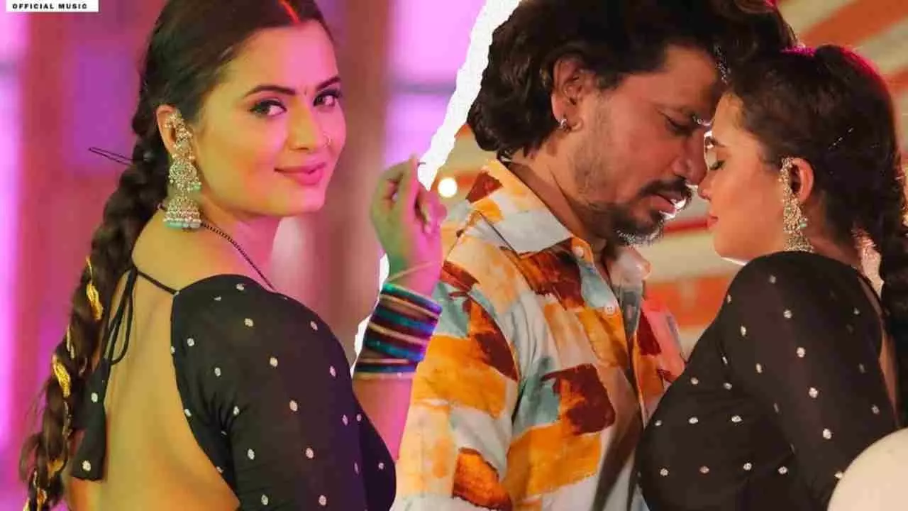 Bigg Boss 19 Fame Neelam Giri Boyfriend