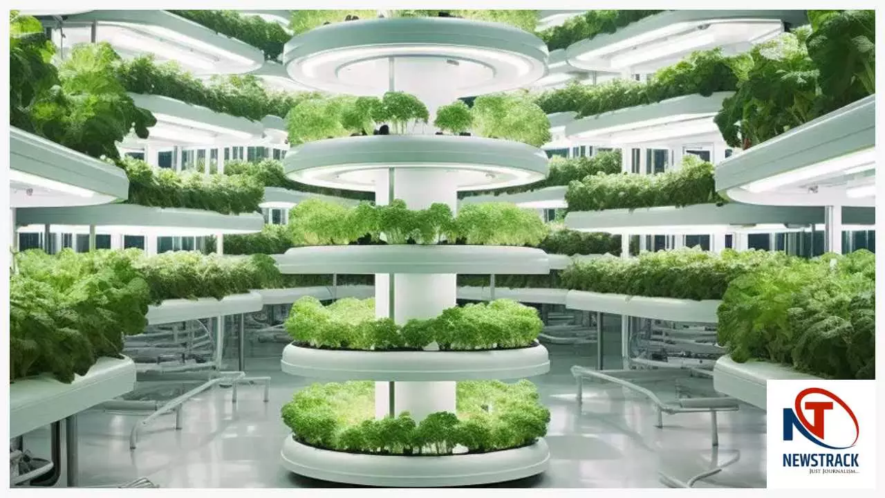 Hydroponic Farming