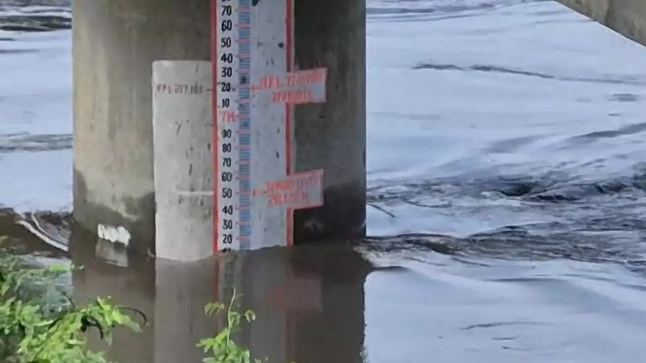 Baghpat News: यमुना उफान से बागपत में हाहाकार, खेत-खलिहान डूबे, ग्रामीण परेशान