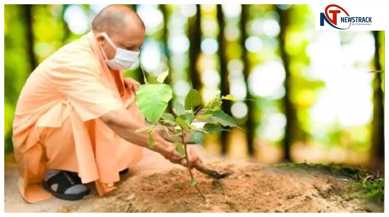 योगी सरकार ने रचा इतिहास, पौधरोपण महाभियान-2025 में एक दिन में 36.21 करोड़ से अधिक पौधों का रोपण