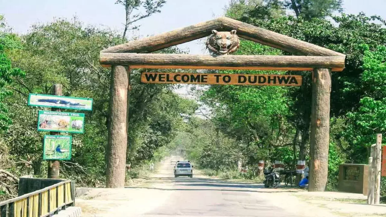 UP News: दुधवा महोत्सव-2025 होगा ईको-टूरिज्म: दुधवा टाइगर रिजर्व में पर्यटकों की संख्या में बढ़ोतरी