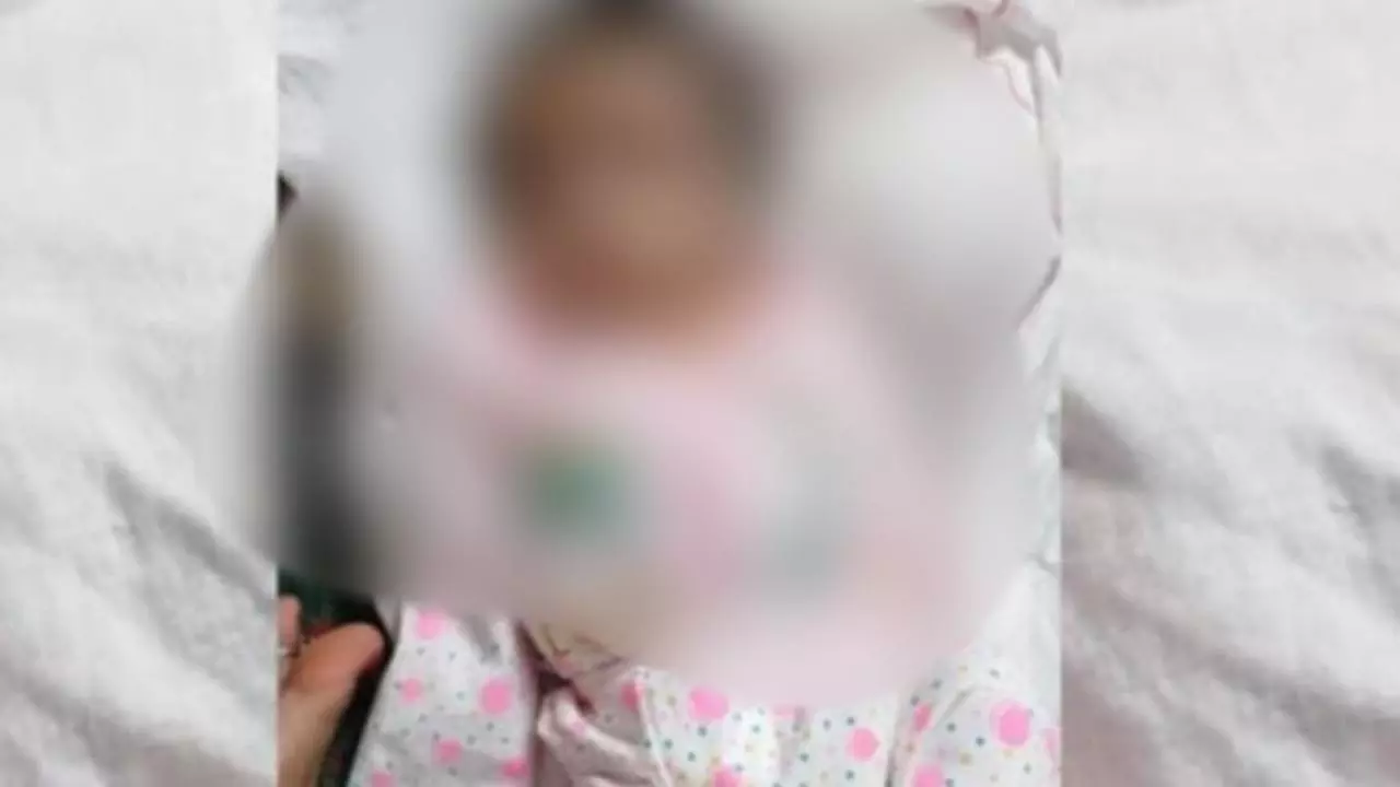 Sitapur News: सीतापुर में मासूम की दर्दनाक मौत: बंदरों ने बच्चे को उठाकर पानी के ड्रम में फेंका