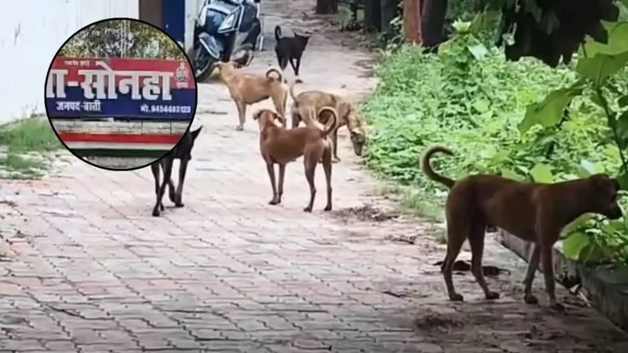 बस्ती में कुत्ते के काटने पर पुलिसकर्मी को मिली 1 महीने की छुट्टी, एसपी की हो रही सराहना