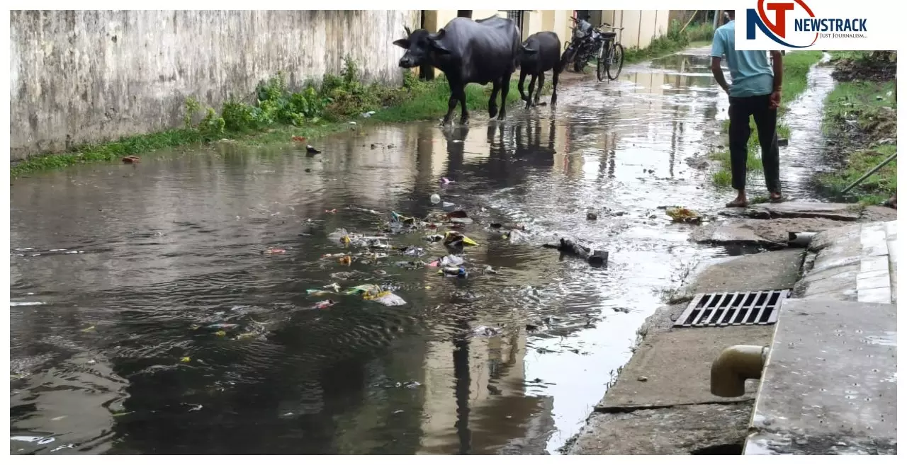 बलरामपुर में हल्की बारिश से जलभराव, खलवा मोहल्ले में गंदगी से लोग परेशान बलरामपुर में हल्की बारिश से जलभराव, खलवा मोहल्ले में गंदगी से लोग परेशान