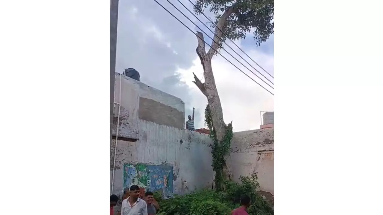 Mathura News: फरह में मकान पर गिरी आसमानी बिजली, इलेक्ट्रॉनिक सामान नष्ट, बच्ची झुलसी