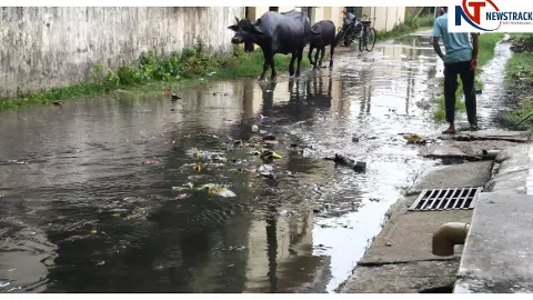 बलरामपुर में हल्की बारिश से जलभराव, खलवा मोहल्ले में गंदगी से लोग परेशान