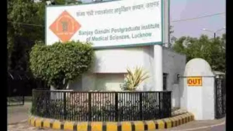 न्यूरोमॉनिटरिंग के ज़रिए ब्रेन के जटिल ऑपरेशन में मिलेगी सफलता न्यूरोमॉनिटरिंग के ज़रिए ब्रेन के जटिल ऑपरेशन में मिलेगी सफलता