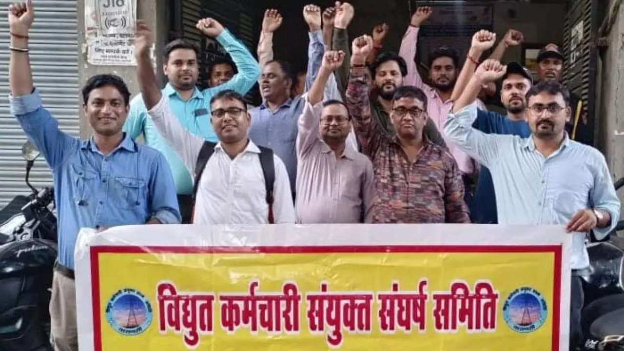 Electricity Privatization Protest