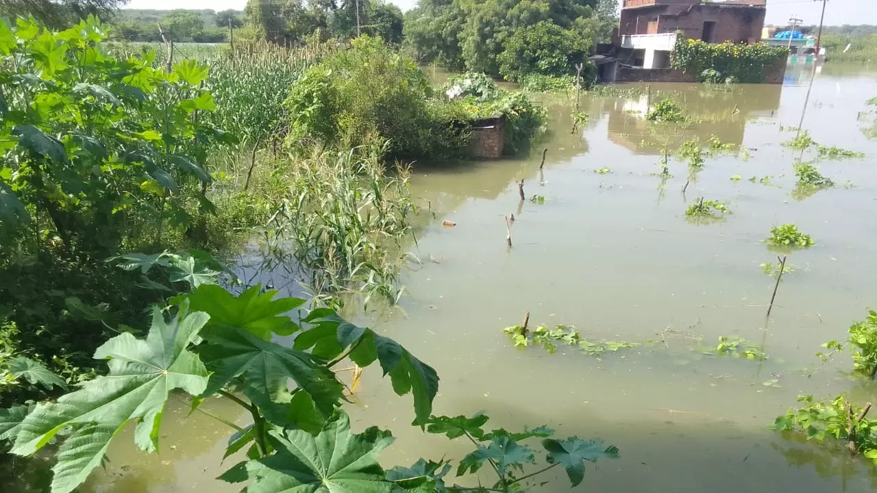 Firozabad News: यमुना नदी ने निचले इलाके में मचाई तबाही, कई गावों का संपर्क टूटा
