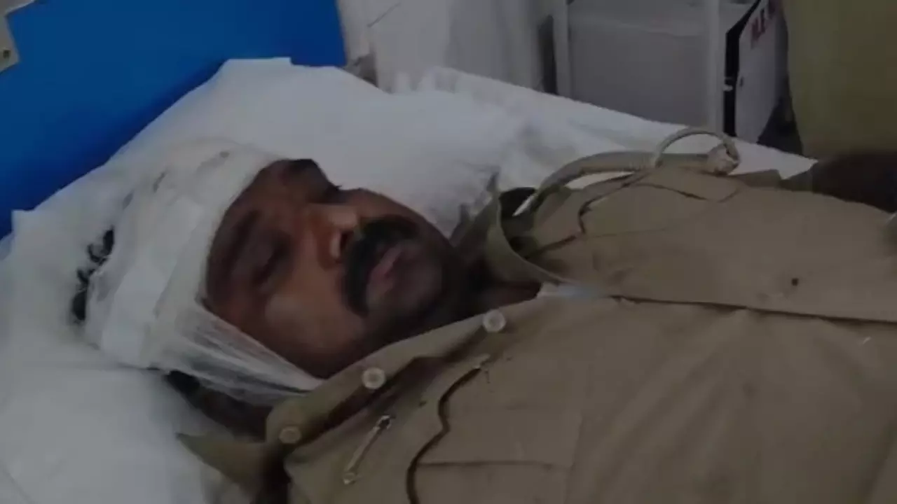 Etawah News:  वन माफियाओं ने डिप्टी रेंजर के ऊपर किया जानलेवा, गंभीर हालत में अस्पताल में कराया गया Etawah News:  वन माफियाओं ने डिप्टी रेंजर के ऊपर किया जानलेवा, गंभीर हालत में अस्पताल में कराया गया