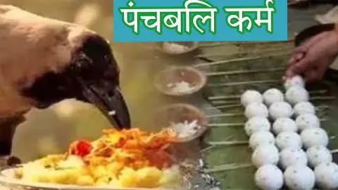 पंचबली श्राद्ध क्या होता है, क्यों किया जाता है और  इससे पितृ कैसे प्रसन्न होते है?