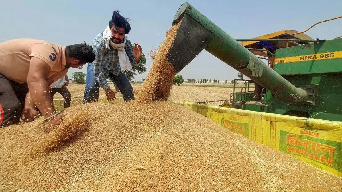 खूब महंगा होगा चावल और आंटा, पंजाब की बाढ़ बिगाड़ देगी सबका बजट