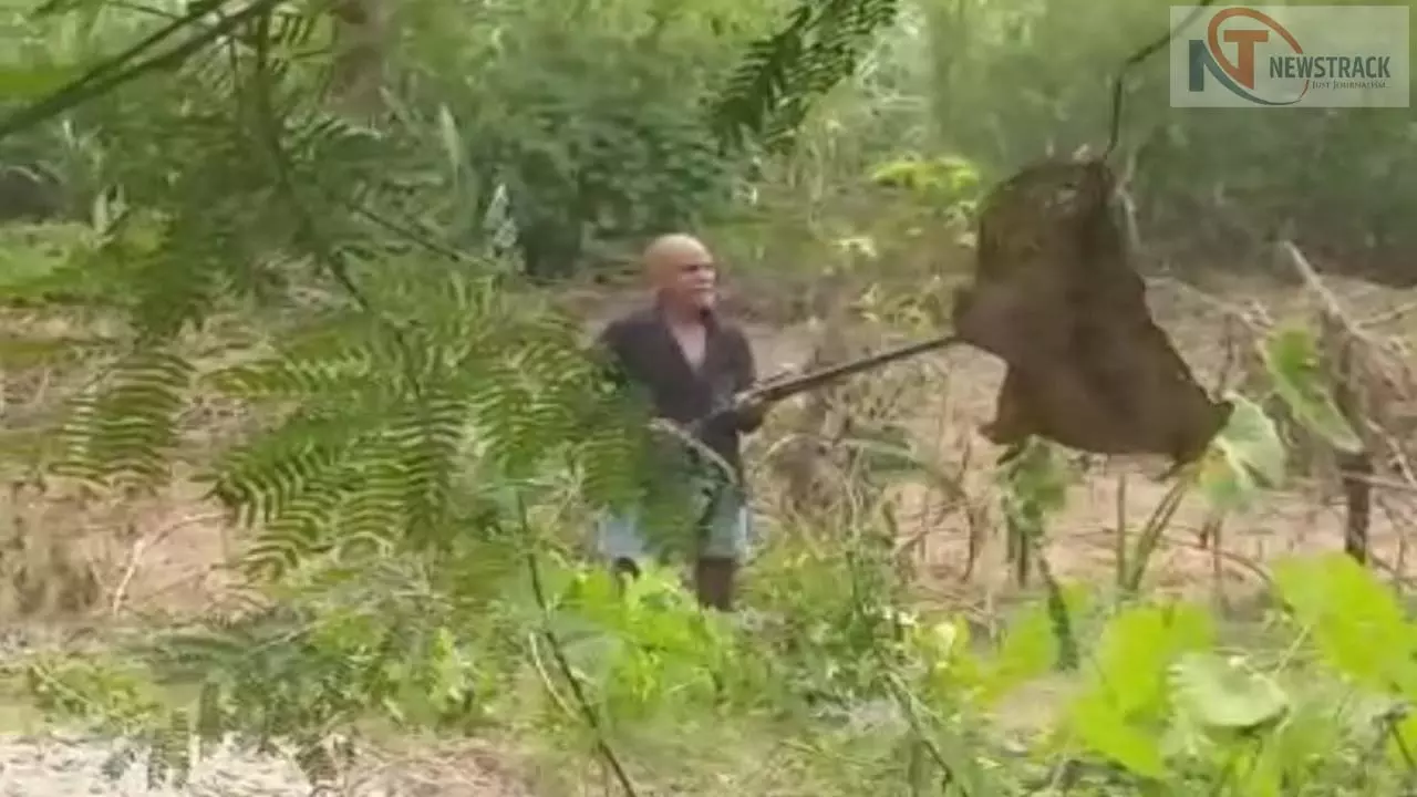 Father pulls gun on son as he cuts trees, discussion in area