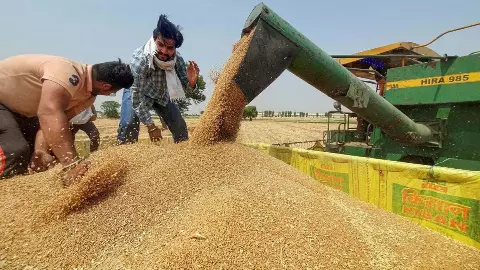 खूब महंगा होगा चावल और आंटा, पंजाब की बाढ़ बिगाड़ देगी सबका बजट खूब महंगा होगा चावल और आंटा, पंजाब की बाढ़ बिगाड़ देगी सबका बजट