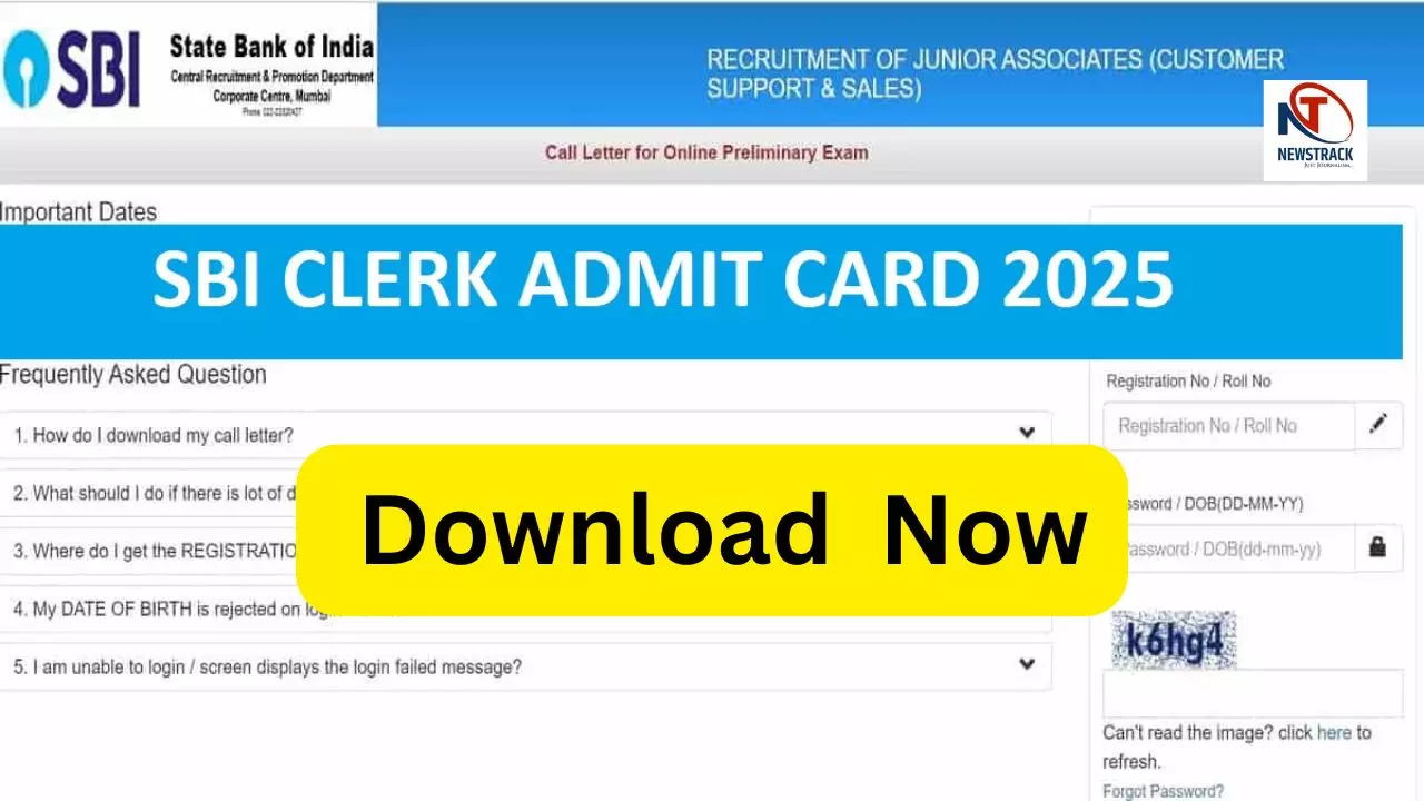 SBI Clerk Prelims Admit Card 2025 Download Link एक्टिव, ऐसे करें डाउनलोड SBI Clerk Prelims Admit Card 2025 Download Link एक्टिव, ऐसे करें डाउनलोड