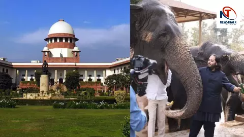 सुप्रीम कोर्ट ने कहा, हाथी रखने में कोई गलत बात नहीं, अगर सभी नियमों का पालन किया जाए सुप्रीम कोर्ट ने कहा, हाथी रखने में कोई गलत बात नहीं, अगर सभी नियमों का पालन किया जाए