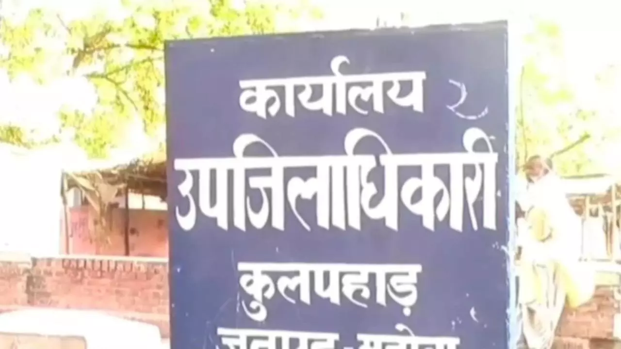 Mahoba News: वन भूमि पर फर्जी फसल बीमा का खुलासा, पांच पर मुकदमा, सैकडों संदिग्ध जांच में